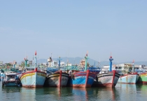 Nguyên Liệu Làm Mắm Tại Bình Định Nguyên Liệu Làm Mắm Tại Bình Định