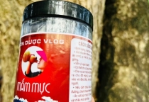 Mắm Mực – Hương Vị Đậm Đà Từ Biển Cả Miền Trung Mắm Mực – Hương Vị Đậm Đà Từ Biển Cả Miền Trung