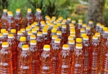 Quy Trình Làm Nước Mắm Nhĩ BÌnh Định