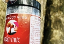 Khám Phá Vị Ngon Đặc Sản Mắm Bình Định Cùng Sơn Dược Vlog