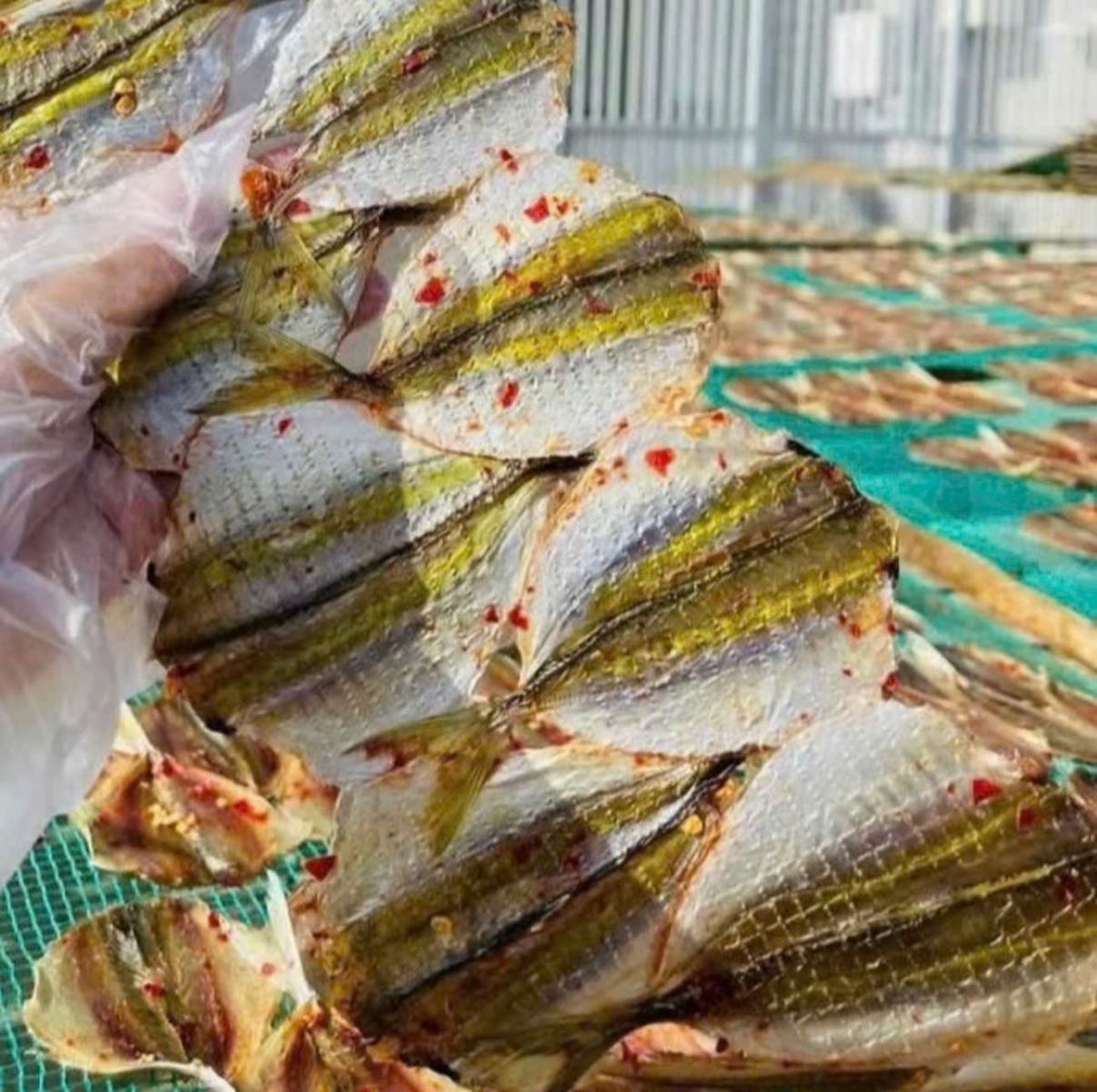 Cá Chỉ Vàng Phơi Khô