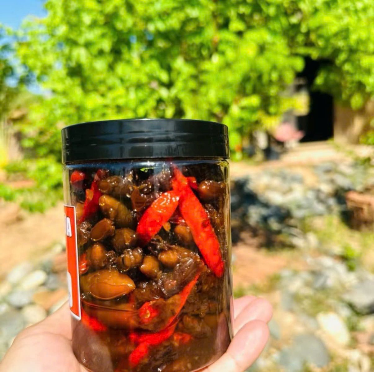 Mực Sữa Rim Mắm