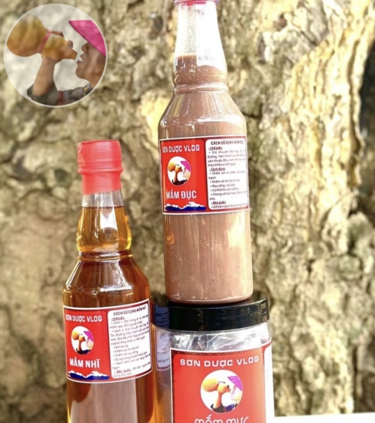 Mắm Mực + Mắm Đục + Mắm Nhỉ